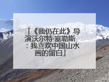 《我仍在此》导演沃尔特·塞勒斯：我喜欢中国山水画的留白