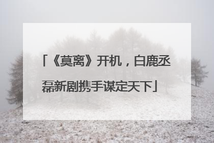 《莫离》开机，白鹿丞磊新剧携手谋定天下