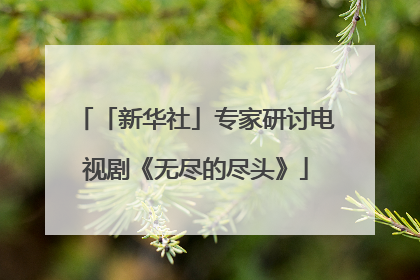 「新华社」专家研讨电视剧《无尽的尽头》