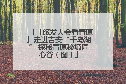 「旅发大会看青原」走进吉安“千岛湖” 探秘青原秘境匠心谷（图）