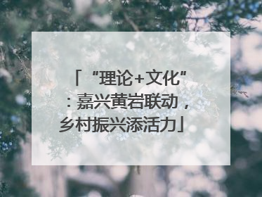 “理论+文化”：嘉兴黄岩联动，乡村振兴添活力
