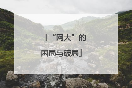 “网大”的困局与破局