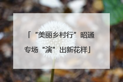 “美丽乡村行”昭通专场“演”出新花样