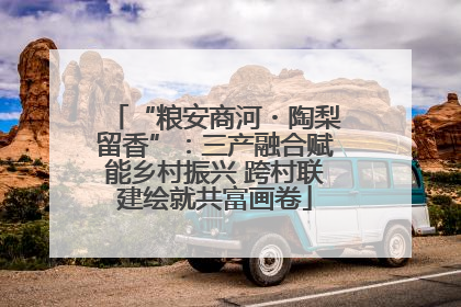 “粮安商河・陶梨留香”：三产融合赋能乡村振兴 跨村联建绘就共富画卷