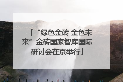 “绿色金砖 金色未来”金砖国家智库国际研讨会在京举行
