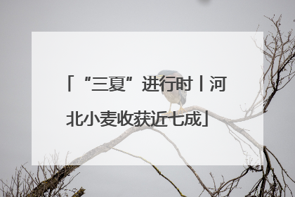 “三夏”进行时丨河北小麦收获近七成