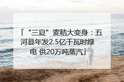 “三夏”麦秸大变身：五河县年发2.5亿千瓦时绿电 供20万吨蒸汽
