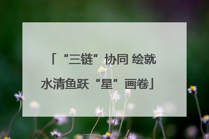 “三链”协同 绘就水清鱼跃“星”画卷