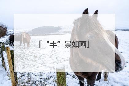 “丰”景如画