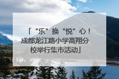 “乐”换“悦”心！成都龙江路小学高翔分校举行集市活动