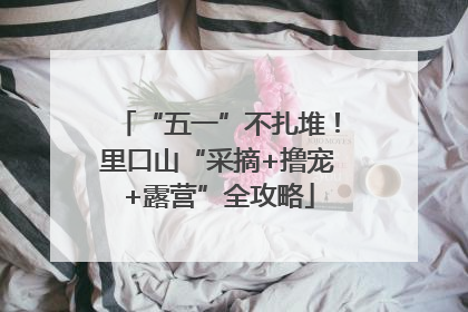 “五一”不扎堆！里口山“采摘+撸宠+露营”全攻略