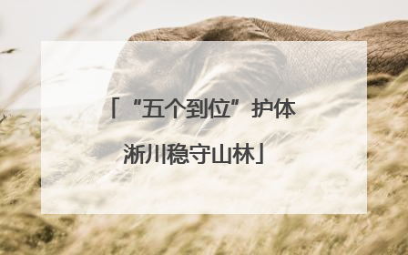 “五个到位”护体 淅川稳守山林