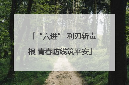“六进” 利刃斩毒根 青春防线筑平安