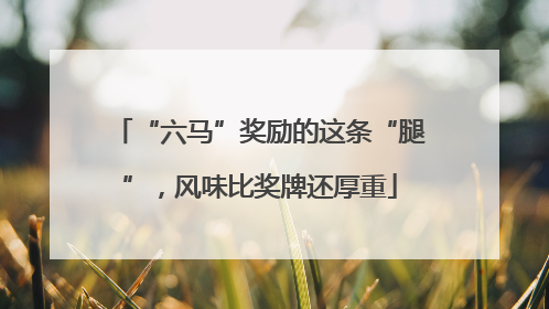 “六马”奖励的这条“腿”，风味比奖牌还厚重