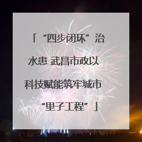 “四步闭环”治水患 武昌市政以科技赋能筑牢城市“里子工程”