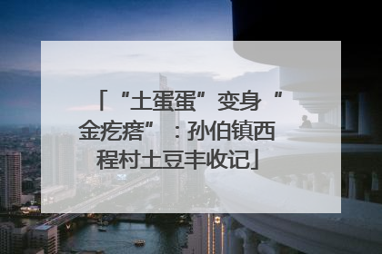 “土蛋蛋”变身“金疙瘩”：孙伯镇西程村土豆丰收记