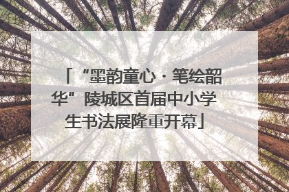 “墨韵童心・笔绘韶华”陵城区首届中小学生书法展隆重开幕
