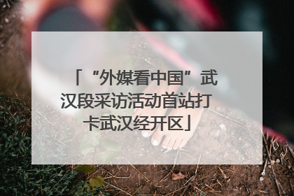 “外媒看中国”武汉段采访活动首站打卡武汉经开区