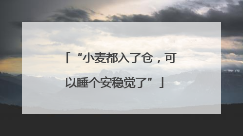 “小麦都入了仓，可以睡个安稳觉了”