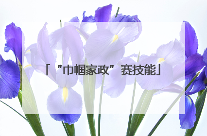 “巾帼家政”赛技能