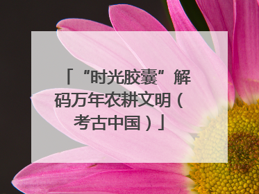 “时光胶囊”解码万年农耕文明（考古中国）
