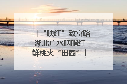 “映红”致富路 湖北广水胭脂红鲜桃火“出圈”