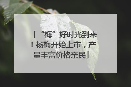 “梅”好时光到来！杨梅开始上市，产量丰富价格亲民