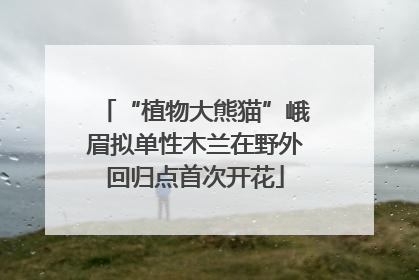 “植物大熊猫”峨眉拟单性木兰在野外回归点首次开花