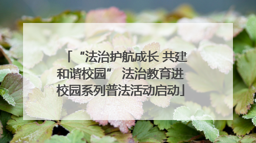 “法治护航成长 共建和谐校园” 法治教育进校园系列普法活动启动