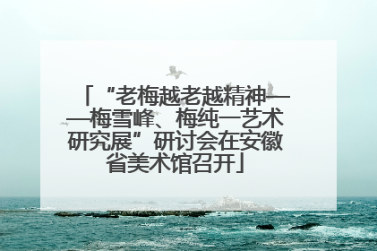 “老梅越老越精神——梅雪峰、梅纯一艺术研究展”研讨会在安徽省美术馆召开