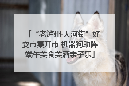 “老泸州·大河街”好耍市集开市 机器狗助阵端午美食美酒亲子乐