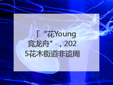 “花Young竞龙舟”，2025花木街道非遗周系列活动举行