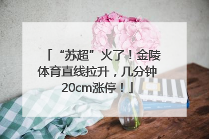 “苏超”火了！金陵体育直线拉升，几分钟20cm涨停！
