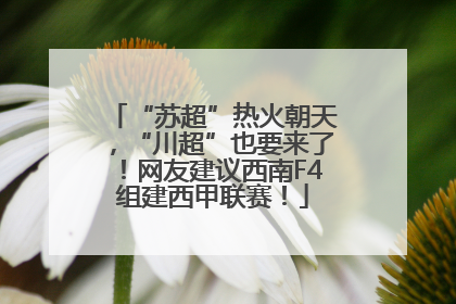 “苏超”热火朝天，“川超”也要来了！网友建议西南F4组建西甲联赛！