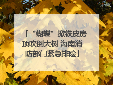 “蝴蝶”掀铁皮房顶吹倒大树 海南消防部门紧急排险
