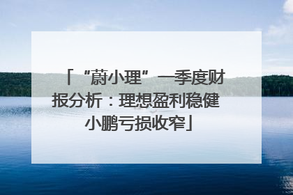 “蔚小理”一季度财报分析：理想盈利稳健 小鹏亏损收窄