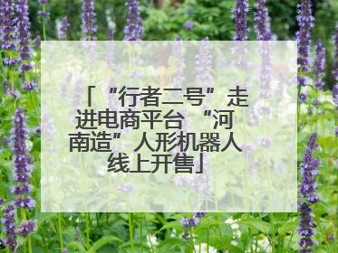 “行者二号”走进电商平台 “河南造”人形机器人线上开售