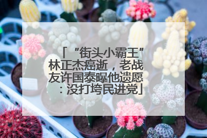 “街头小霸王”林正杰癌逝，老战友许国泰曝他遗愿：没打垮民进党