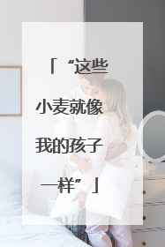 “这些小麦就像我的孩子一样”