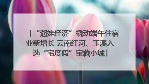 “遛娃经济”撬动端午住宿业新增长 云南红河、玉溪入选“宅度假”宝藏小城