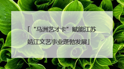 “马洲艺才卡”赋能江苏靖江文艺事业蓬勃发展
