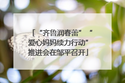 “齐鲁润春蕾”“爱心妈妈续力行动”推进会在邹平召开