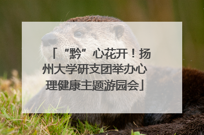 “黔”心花开！扬州大学研支团举办心理健康主题游园会