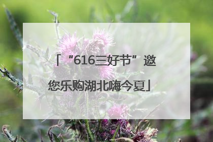 “616三好节”邀您乐购湖北嗨今夏