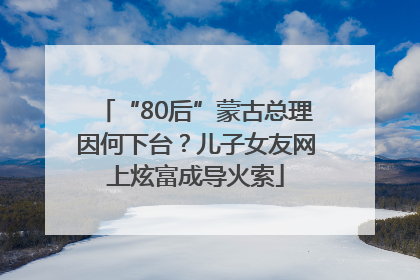 “80后”蒙古总理因何下台？儿子女友网上炫富成导火索