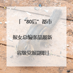 “80后”都市报女总编张晶履新省级党报副职