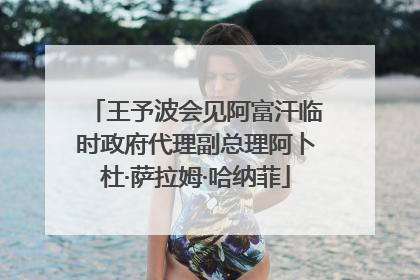 王予波会见阿富汗临时政府代理副总理阿卜杜·萨拉姆·哈纳菲