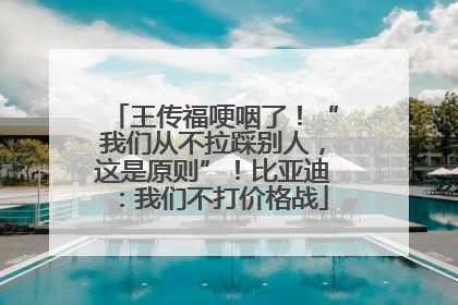 王传福哽咽了！“我们从不拉踩别人，这是原则”！比亚迪：我们不打价格战