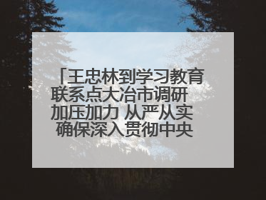 王忠林到学习教育联系点大冶市调研 加压加力 从严从实 确保深入贯彻中央八项规定精神学习教育取得实效