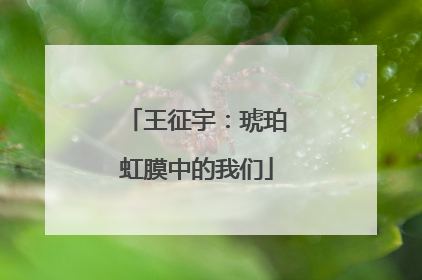 王征宇：琥珀虹膜中的我们